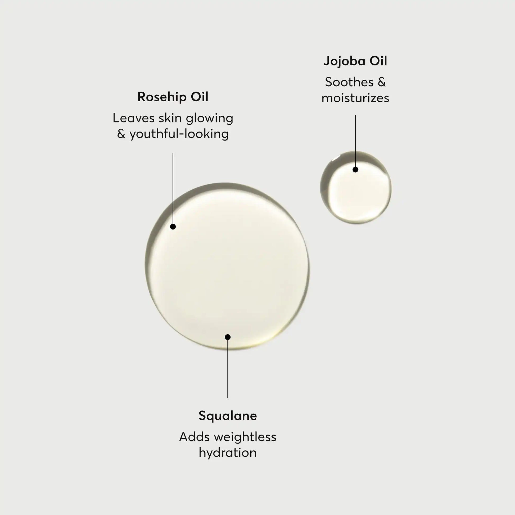 the-glow-getter-body-oil-a9 NATR-10115-Alt-Images-The-Glow-Getter-Body-Oil-01.webp