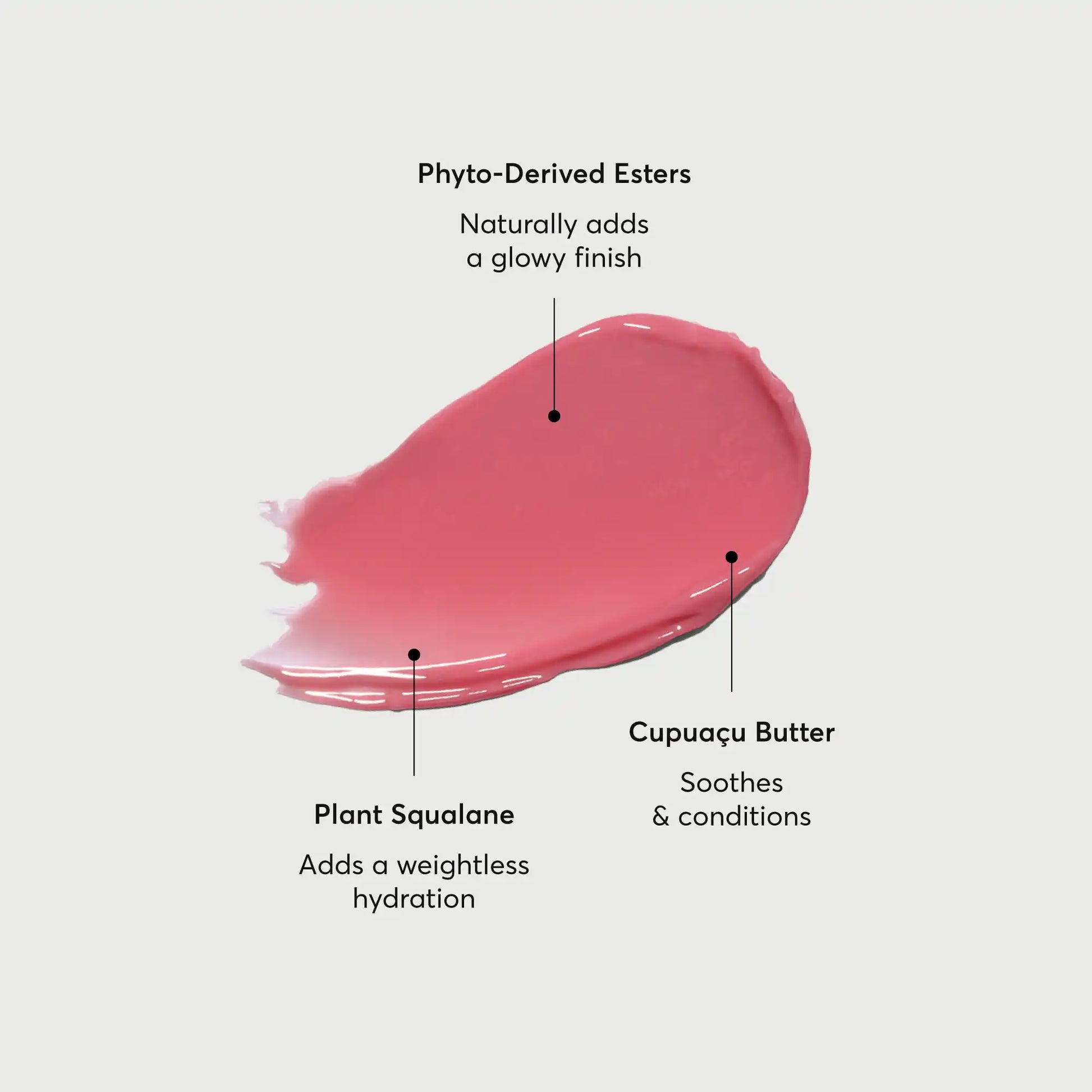 phyto-glow-lip-balm-petal-j8 NATR-60067-Alt-Images-Phyto-Glow-Lip-Balm-Petal-01.webp