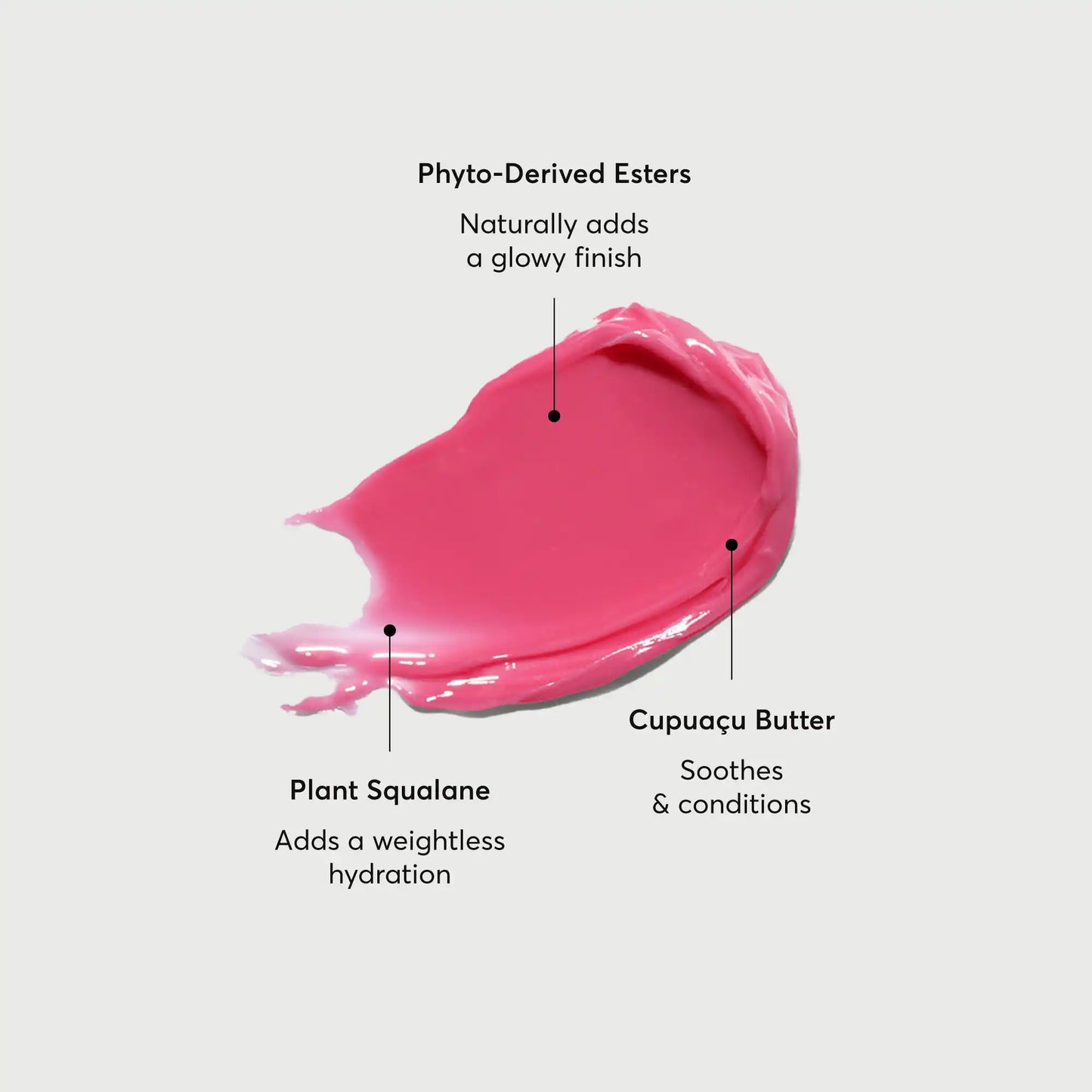 phyto-glow-lip-balm-camellia-z6 NATR-60075-Alt-Images-Phyto-Glow-Lip-Balm-Camellia-01.webp